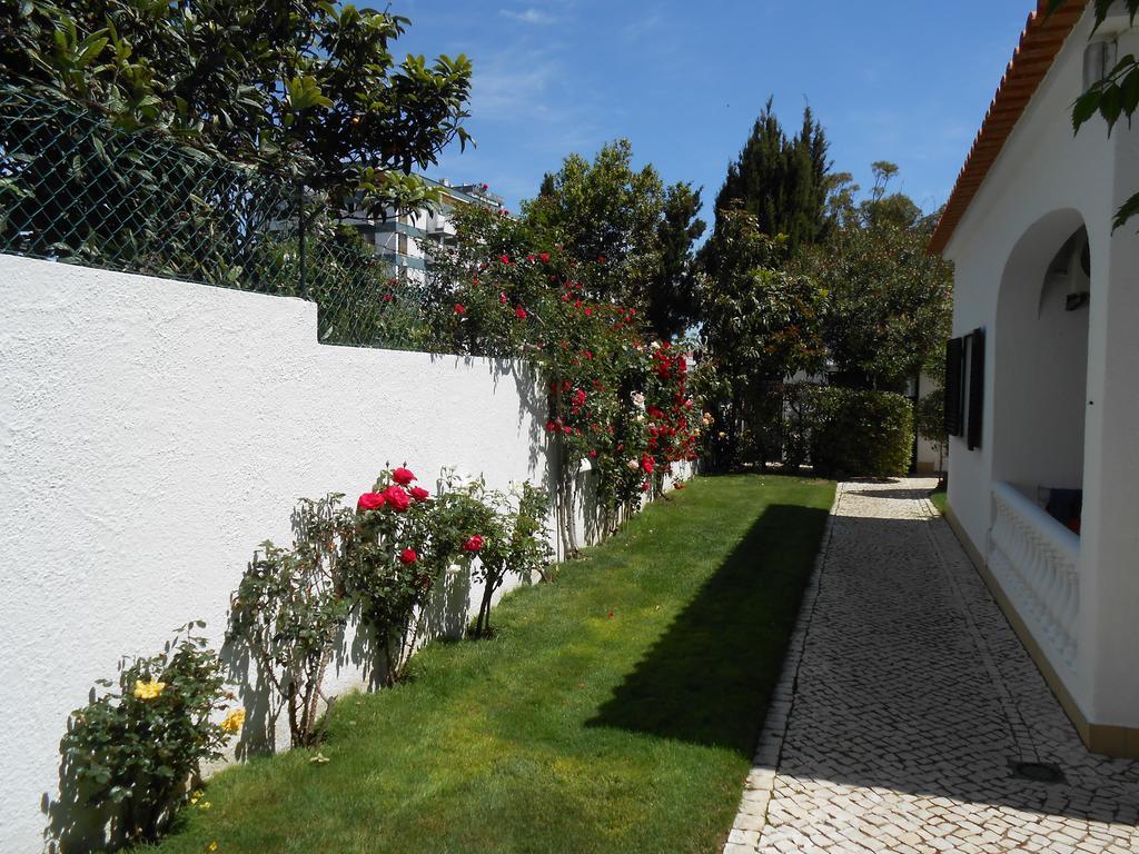 Dona Ana Garden Lagos
